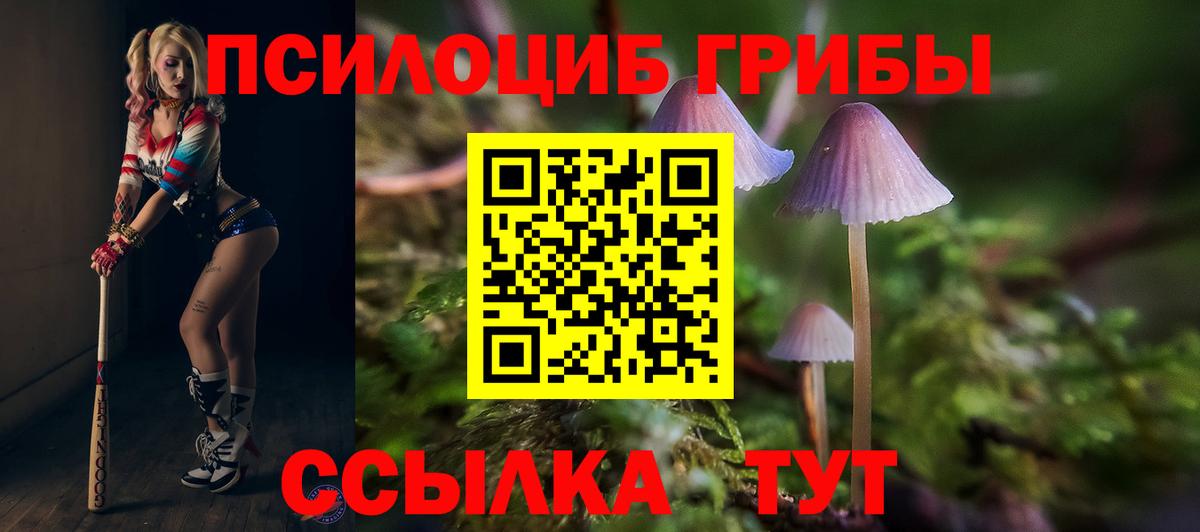 Темрюк  купить наркоту  Галлюциногенные грибы Psilocybine cubensis  Вход с VPN  Псилоцибиновые грибы мицелий 